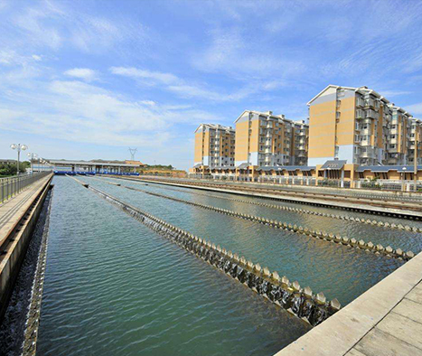 ��ҳ| ����֮��hy590���¹ٷ���վ