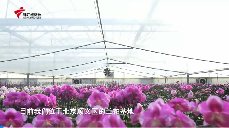 ��ҳ| ����֮��hy590���¹ٷ���վ