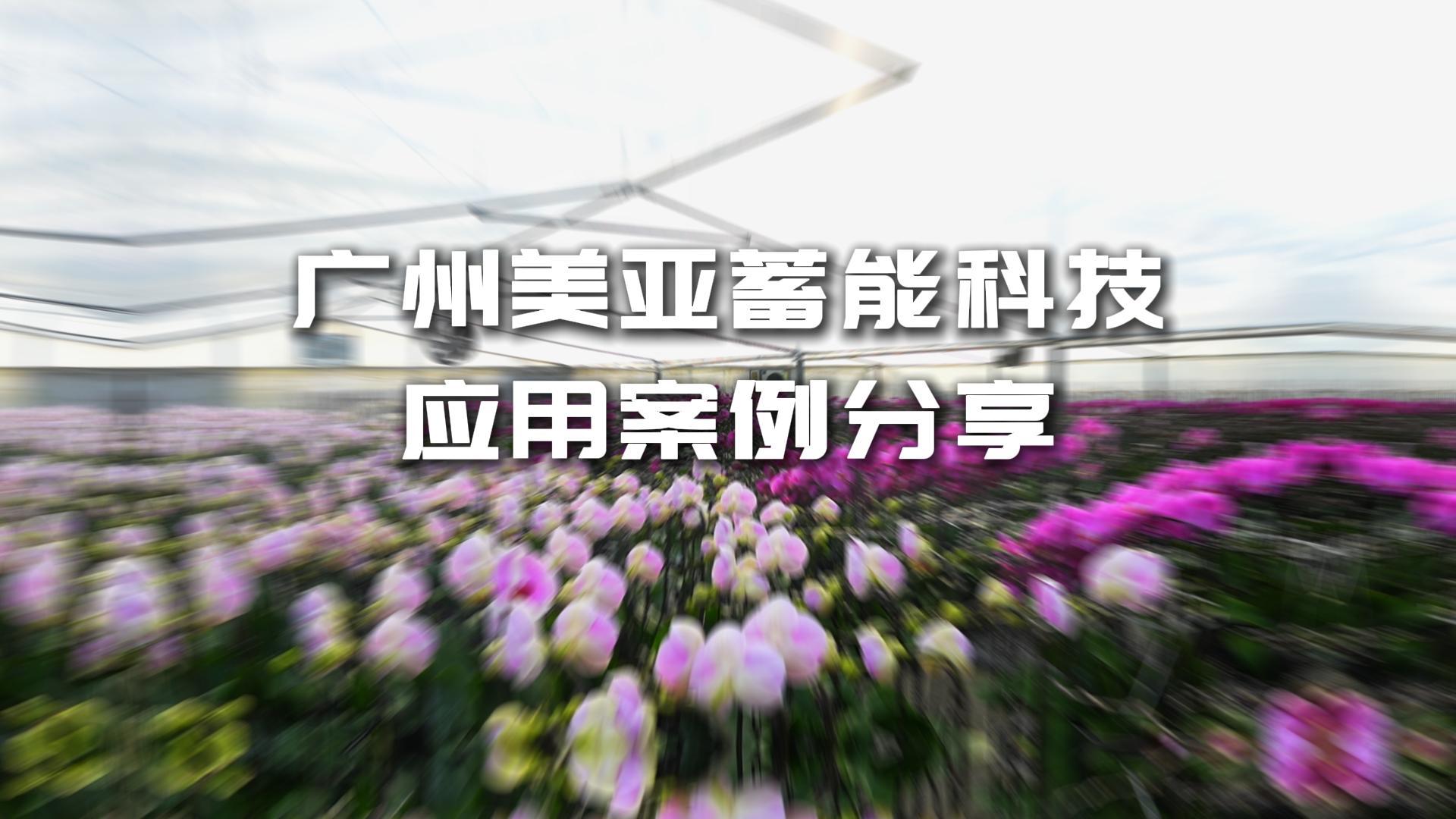 ��ҳ| ����֮��hy590���¹ٷ���վ