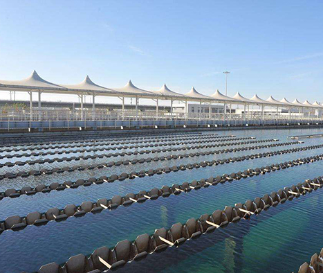 ��ҳ| ����֮��hy590���¹ٷ���վ